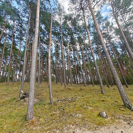 Lesna Ostoja W Centrum Puszczy Nadnoteckiej Otoczona 3 Jeziorami Miedzychod Exterior photo